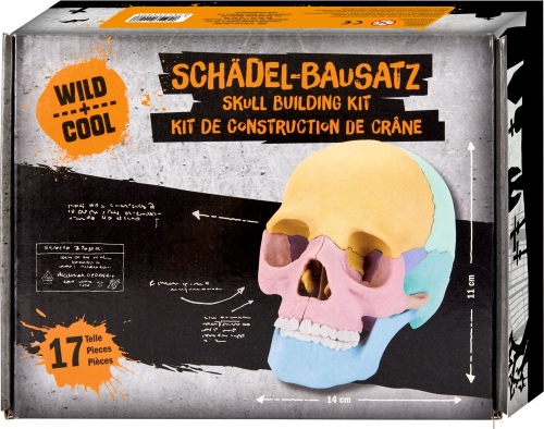 Wild-Cool Skull Collecting Set, Spiegelburg (20288) / Play Sets № 3