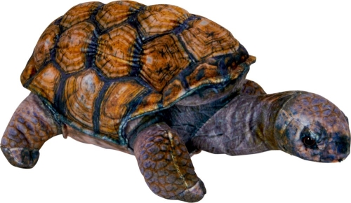 Plush toy Turtle Nature Zoom, Spiegelburg (25733) / Plush Toys Kids Republic Plush toy Turtle Nature Zoom, Spiegelburg (25733) / Plush Toys