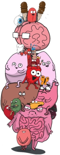 Настольная игра Органы Атакуют, Lord Of Boards (20619) / Настольные игры № 2