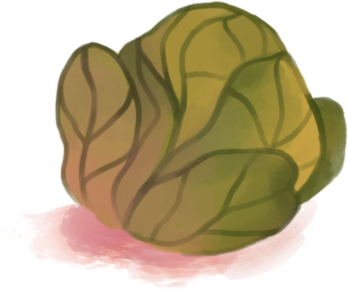 Настольная игра Где моя КАПУСТА?, Lord Of Boards (90023) / Настольные игры № 6 Kids Republic Настольная игра Где моя КАПУСТА?, Lord Of Boards (90023) / Настольные игры № 6