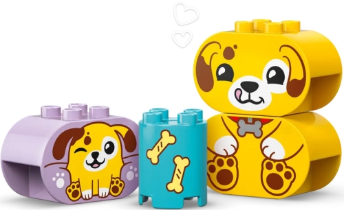 Конструктор Сортировщик фигур дом для щенков, Lego (16784) / Игрушки № 3 Kids Republic Конструктор Сортировщик фигур дом для щенков, Lego (16784) / Игрушки № 3