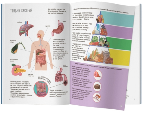 Книга Книжка з наліпками. Тіло людини, Кристал Бук (70466) / Іграшки № 2 Kids Republic Книга Книжка з наліпками. Тіло людини, Кристал Бук (70466) / Іграшки № 2