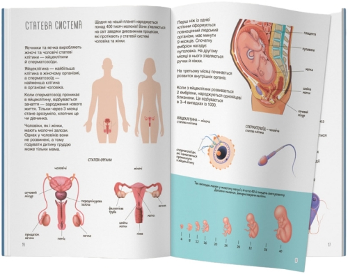 Книга Книжка з наліпками. Тіло людини, Кристал Бук (70466) / Іграшки № 3 Kids Republic Книга Книжка з наліпками. Тіло людини, Кристал Бук (70466) / Іграшки № 3