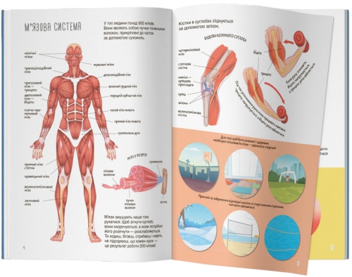 Книга Книжка з наліпками. Тіло людини, Кристал Бук (70466) / Іграшки № 6 Kids Republic Книга Книжка з наліпками. Тіло людини, Кристал Бук (70466) / Іграшки № 6