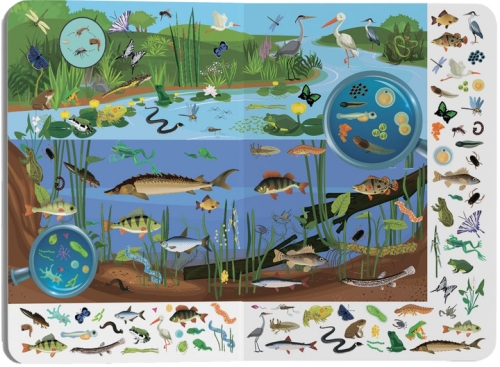 Книга Книга-картонка Большой иммельбух. Микромир, Кристалл Бук (71227) / Игрушки № 3 Kids Republic Книга Книга-картонка Большой иммельбух. Микромир, Кристалл Бук (71227) / Игрушки № 3