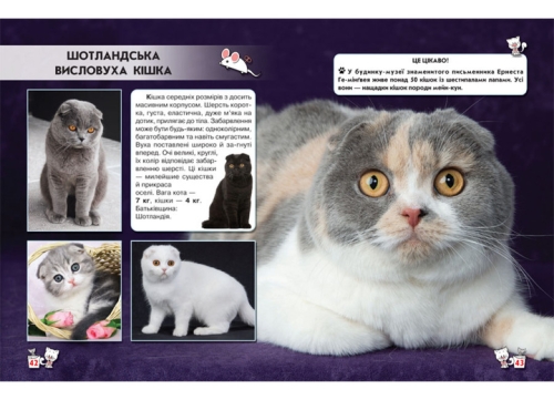 Книга Світ навколо нас. Кішки, Кристал Бук (67501) / Іграшки № 2 Kids Republic Книга Світ навколо нас. Кішки, Кристал Бук (67501) / Іграшки № 2