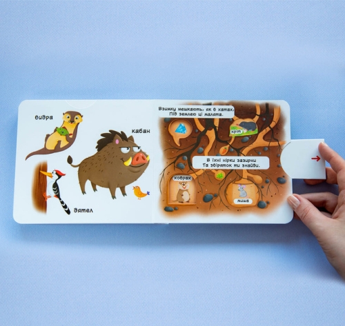 Книжка з механізмом. Перша книжка з рухомими елементами. Лісові тварини. Дізнайся, грай, крути, штов, Кристал Бук (67525) / Іграшки № 4 Kids Republic Книжка з механізмом. Перша книжка з рухомими елементами. Лісові тварини. Дізнайся, грай, крути, штов, Кристал Бук (67525) / Іграшки № 4