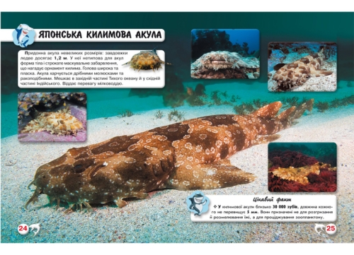 Книга Світ навколо нас. Акули, Кристал Бук (69147) / Іграшки № 2 Kids Republic Книга Світ навколо нас. Акули, Кристал Бук (69147) / Іграшки № 2