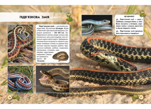 The book The world around us. Snakes, Crystal Beech (69185) / Toys № 2 Kids Republic The book The world around us. Snakes, Crystal Beech (69185) / Toys № 2