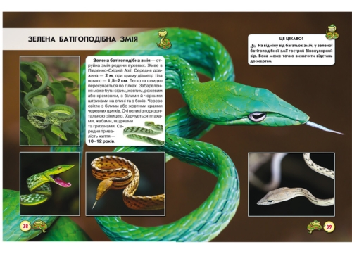 The book The world around us. Snakes, Crystal Beech (69185) / Toys № 3 Kids Republic The book The world around us. Snakes, Crystal Beech (69185) / Toys № 3