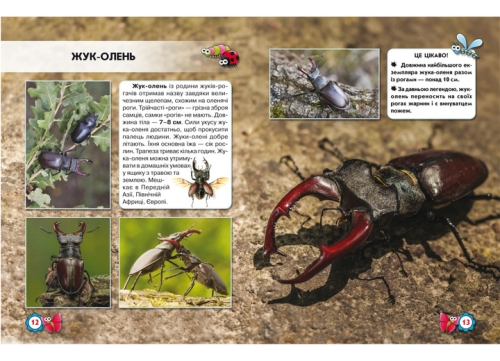 The book The world around us. Insects, Crystal Beech (69208) / Toys № 2 Kids Republic The book The world around us. Insects, Crystal Beech (69208) / Toys № 2