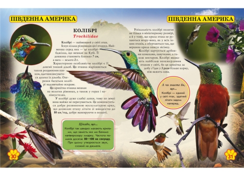 Книга Світ навколо нас. Дикі тварини, Кристал Бук (69420) / Іграшки № 3 Kids Republic Книга Світ навколо нас. Дикі тварини, Кристал Бук (69420) / Іграшки № 3