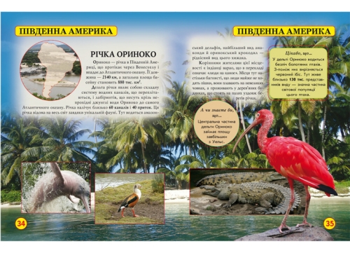 Книга Світ навколо нас. Дива природи, Кристал Бук (69444) / Іграшки № 3 Kids Republic Книга Світ навколо нас. Дива природи, Кристал Бук (69444) / Іграшки № 3