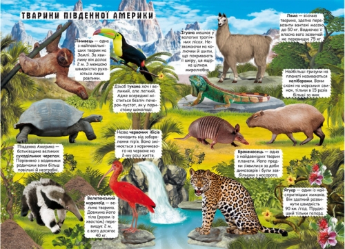 Книга Книжка з секретними віконцями.Відкрий та дізнайся.Тварини планети Земля, Кристал Бук (69505) / Іграшки № 2 Kids Republic Книга Книжка з секретними віконцями.Відкрий та дізнайся.Тварини планети Земля, Кристал Бук (69505) / Іграшки № 2