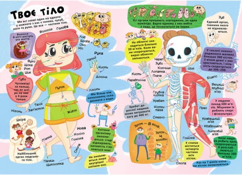 Книга Книжка з секретними віконцями. Все про твоє тіло, Кристал Бук (71602) / Іграшки № 2 Kids Republic Книга Книжка з секретними віконцями. Все про твоє тіло, Кристал Бук (71602) / Іграшки № 2