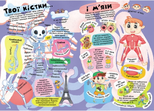 Книга Книжка з секретними віконцями. Все про твоє тіло, Кристал Бук (71602) / Іграшки № 3 Kids Republic Книга Книжка з секретними віконцями. Все про твоє тіло, Кристал Бук (71602) / Іграшки № 3