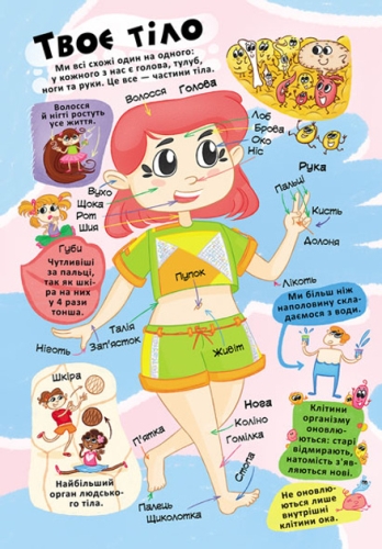 Книга Книжка з секретними віконцями. Все про твоє тіло, Кристал Бук (71602) / Іграшки № 4 Kids Republic Книга Книжка з секретними віконцями. Все про твоє тіло, Кристал Бук (71602) / Іграшки № 4