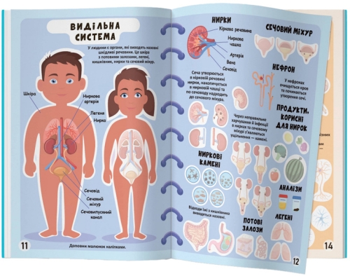 Meganalipkas book. Human body, Crystal Buk (73552) / Toys № 2 Kids Republic Meganalipkas book. Human body, Crystal Buk (73552) / Toys № 2