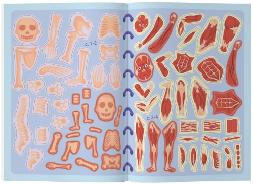 Meganalipkas book. Human body, Crystal Buk (73552) / Toys № 3 Kids Republic Meganalipkas book. Human body, Crystal Buk (73552) / Toys № 3
