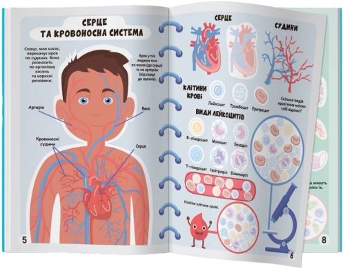 Meganalipkas book. Human body, Crystal Buk (73552) / Toys № 4 Kids Republic Meganalipkas book. Human body, Crystal Buk (73552) / Toys № 4