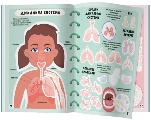 Meganalipkas book. Human body, Crystal Buk (73552) / Toys № 5 Kids Republic Meganalipkas book. Human body, Crystal Buk (73552) / Toys № 5