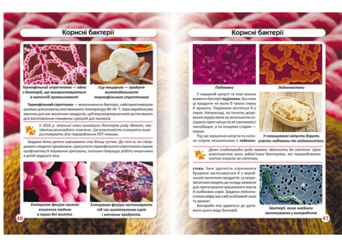 Книга Світ навколо нас. Бактерії, Кристал Бук (75389) / Іграшки № 3 Kids Republic Книга Світ навколо нас. Бактерії, Кристал Бук (75389) / Іграшки № 3