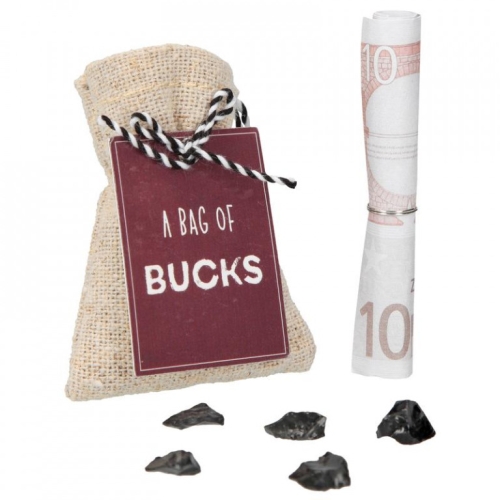 Подарочный набор в мешочке Euro, Bag Of Bucks WISH FULFILLER Мешочки для денег