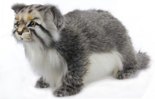 Мягкая игрушка Кот Палласов, высота 30см., Hansa (70775) / Мягкие игрушки № 3 Kids Republic Мягкая игрушка Кот Палласов, высота 30см., Hansa (70775) / Мягкие игрушки № 3