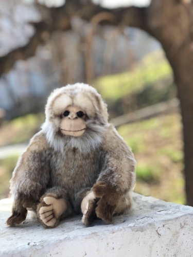 Plush Toy HANSA Macaque, 17cm (7279) / Plush Toys № 2