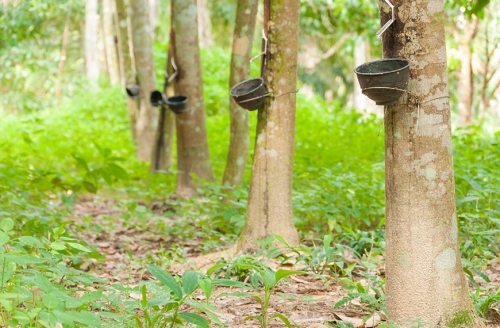 Игрушка прорезыватель для зубов Грибочек Спрут, Oli&Carol, натуральный каучук / Игрушки для купания № 8