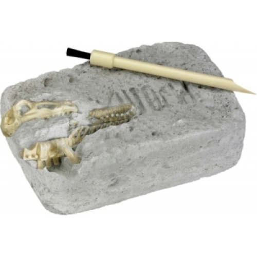 Spiegelburg® Young archaeologists set Carnotaurus