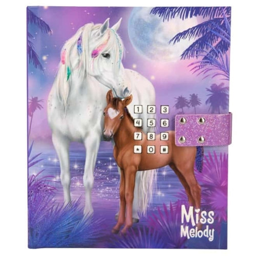 Secret code diary for Miss Melody Purple Horse records