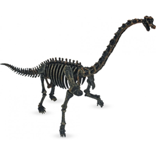 Archaeologists Kit: Large Dinosaur Skeleton, Ulysse Couleurs dEnfance / Play Sets № 6 Kids Republic Archaeologists Kit: Large Dinosaur Skeleton, Ulysse Couleurs dEnfance / Play Sets № 6