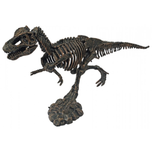 Archaeologists Kit: Large Dinosaur Skeleton, Ulysse Couleurs dEnfance / Play Sets № 4 Kids Republic Archaeologists Kit: Large Dinosaur Skeleton, Ulysse Couleurs dEnfance / Play Sets № 4