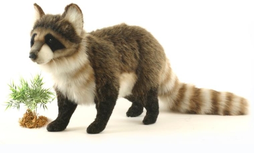 Plush Toy HANSA Raccoon, 45cm (5181)