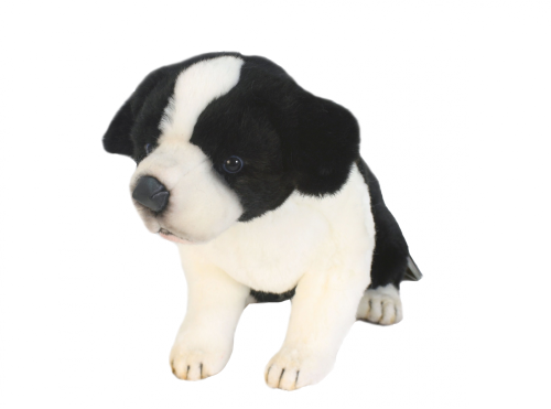 Plush Toy Border collie puppy that sits, Hansa, 25 cm, art. 5664
