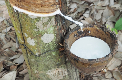 Игрушка прорезыватель для зубов Грибочек Спрут, Oli&Carol, натуральный каучук / Игрушки для купания № 7