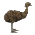 Animated Plush Toy HANSA Ostrich Emu (0112)