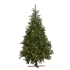 Green Virginia Christmas tree 550 LEDs height 183cm, GoodWill (ALS69059)