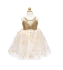 Evening Dress, Gold, Size US 3-4, Great Pretenders (30053)
