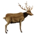 Plush Toy Deer, height 150 cm, Hansa (3349)