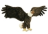 Мяка іграшка Американський орел довжина 70см, Hansa (3834)