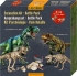 Find the Dinosaur Set, 2pcs, Spiegelburg (17554)