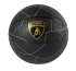 Баскетбольный мяч LAMBORGHINI, черный, р.5 (31276)