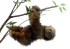 Plush Toy Three-toed sloth, height 34 cm, Hansa (45803)