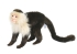 Plush Toy Capuchin Monkey, length 35cm, Hansa (58520)