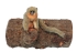 Plush Toy Titi Monkey, length 18cm, Hansa (62305)