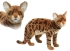 Plush Toy Bengal brown cat, standing length 45cm, Hansa (63548)