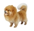 Plush Toy Pomeranian Spitz, height 28cm, Hansa (70188)