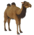 Animated Plush toy Bactrian camel, length 110cm, Hansa (0413)